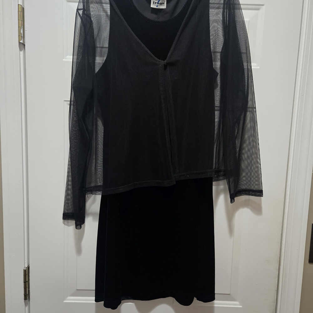 Elegant Black Mesh Overlay Dress